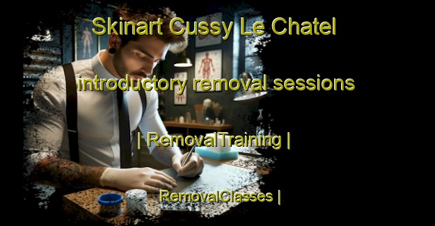 Skinart Cussy Le Chatel introductory removal sessions | RemovalTraining | RemovalClasses | SkinartTraining-France